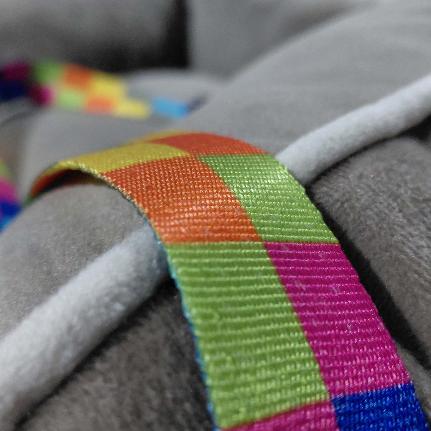 Car And GO Kedi & Köpek Yatağı